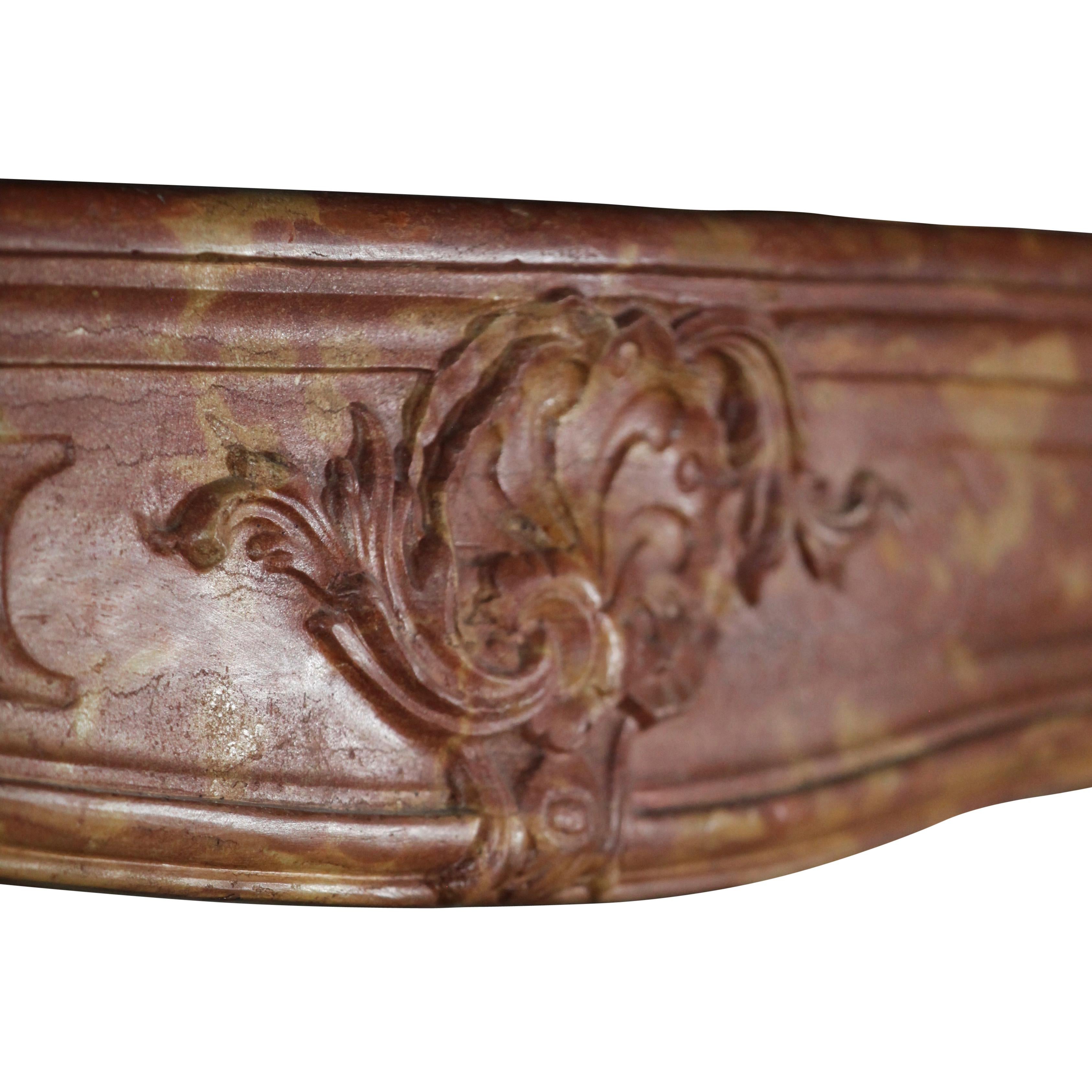 Habillage de cheminée en pierre de style Grand French Classic Multi Colour en vente 5