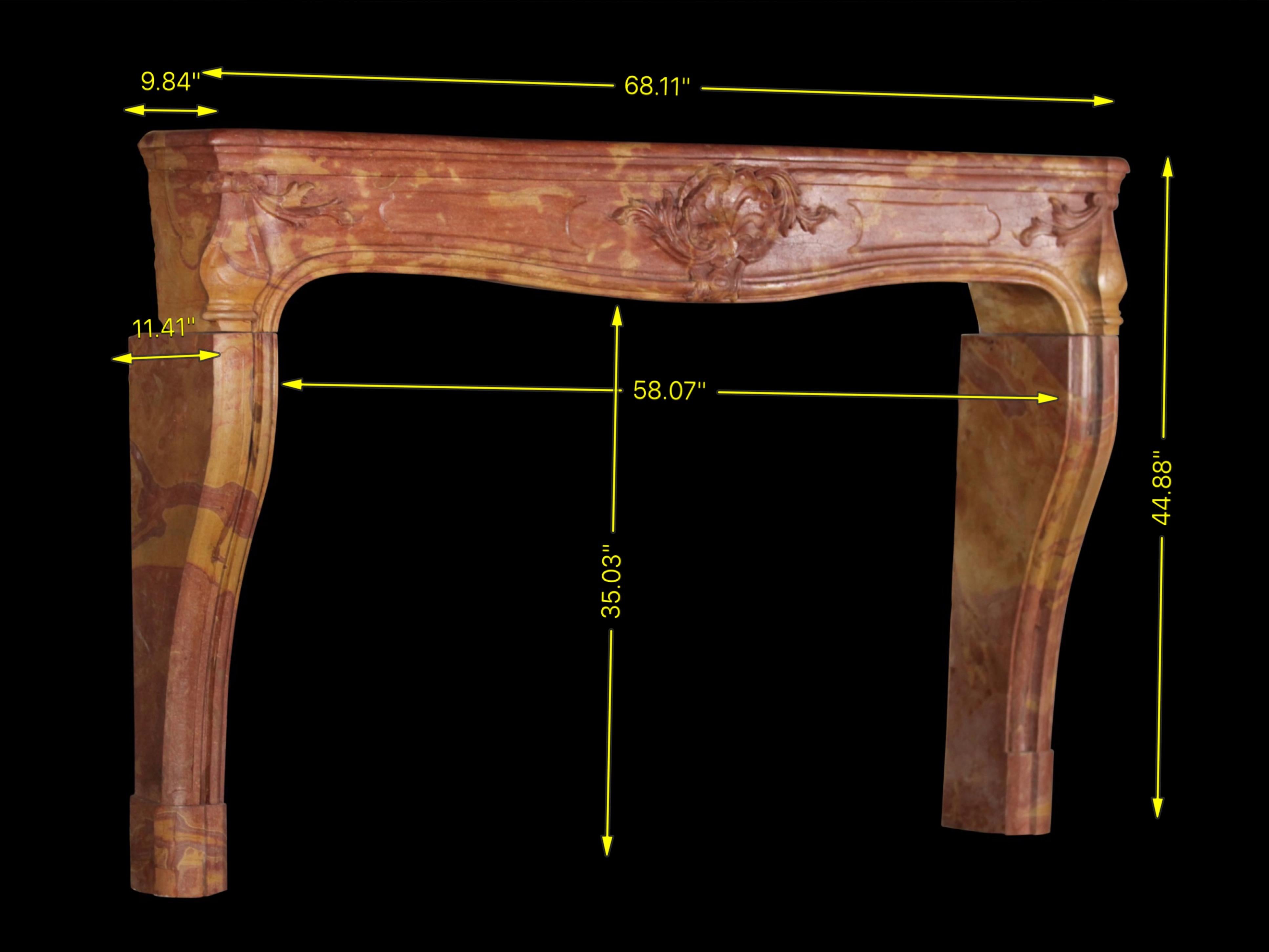 Regency Habillage de cheminée en pierre de style Grand French Classic Multi Colour en vente