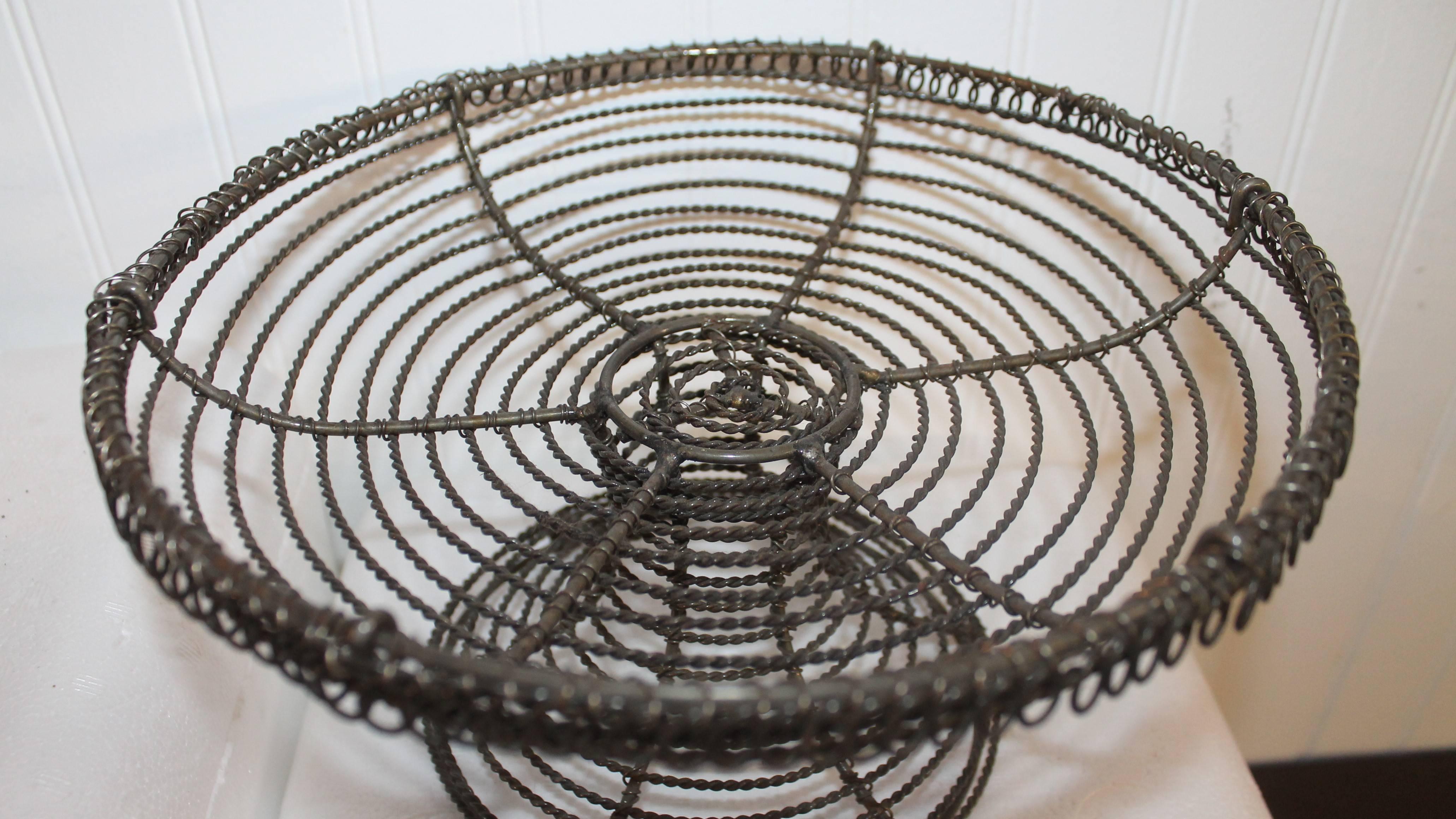 American Stone Fruit Apples in 19th Century Wire Basket