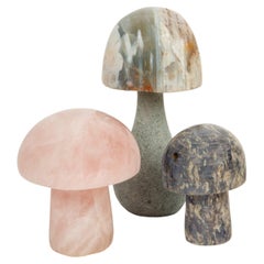 “Stone Fungus: A Trio of Gemstone Delights”