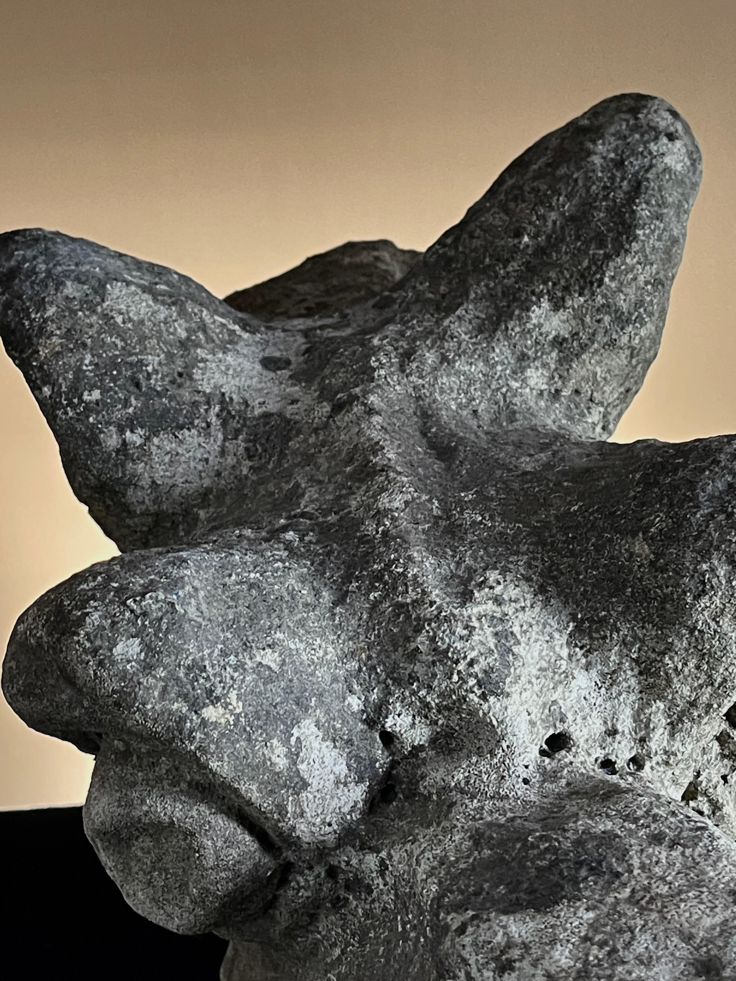 Grotesque-Schnitzerei aus Stein, um 1400 (18. Jahrhundert und früher) im Angebot