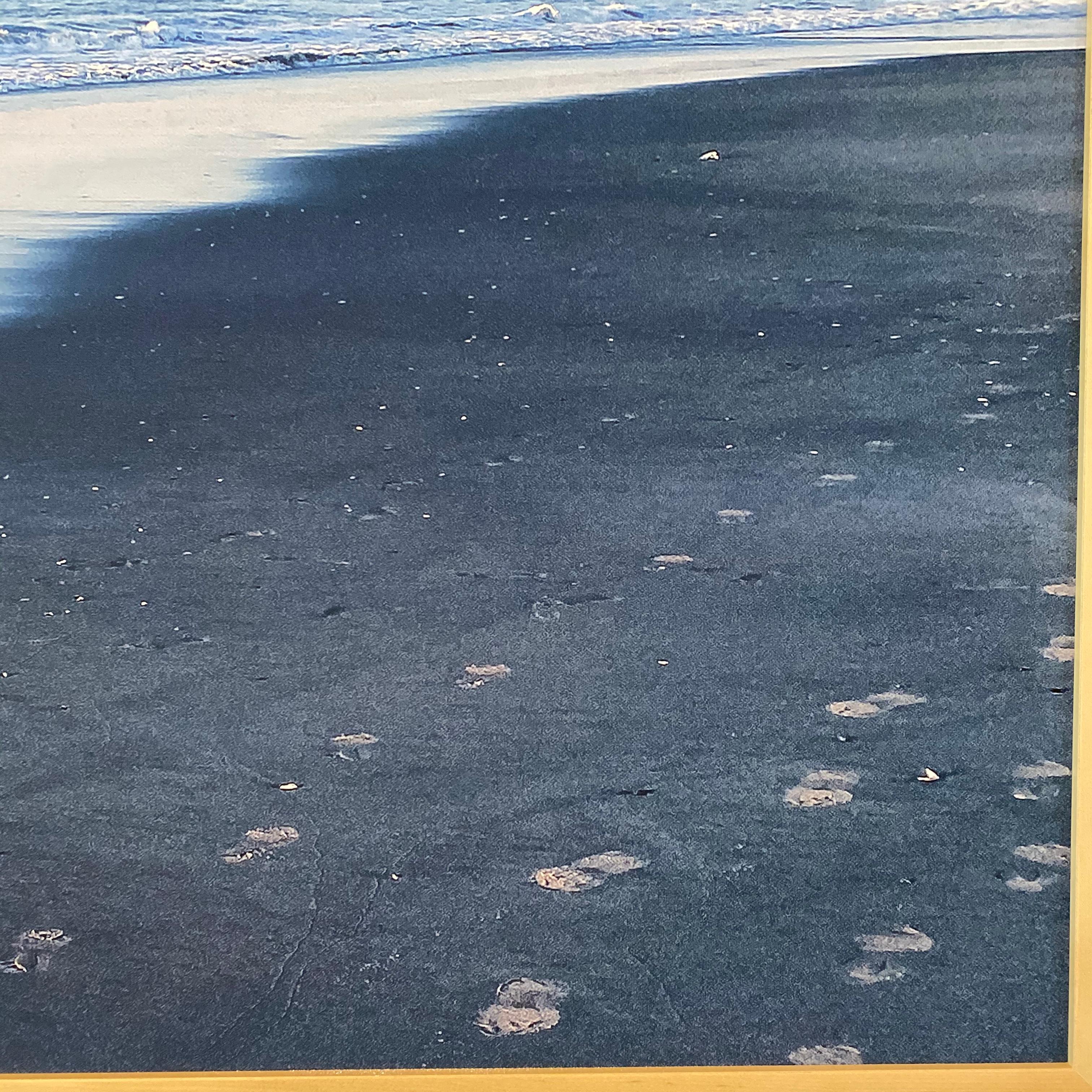 Stone Harbor Sunrise Fotografia su tela, 2020 in vendita 3