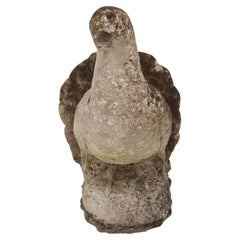 A Stone Pigeon