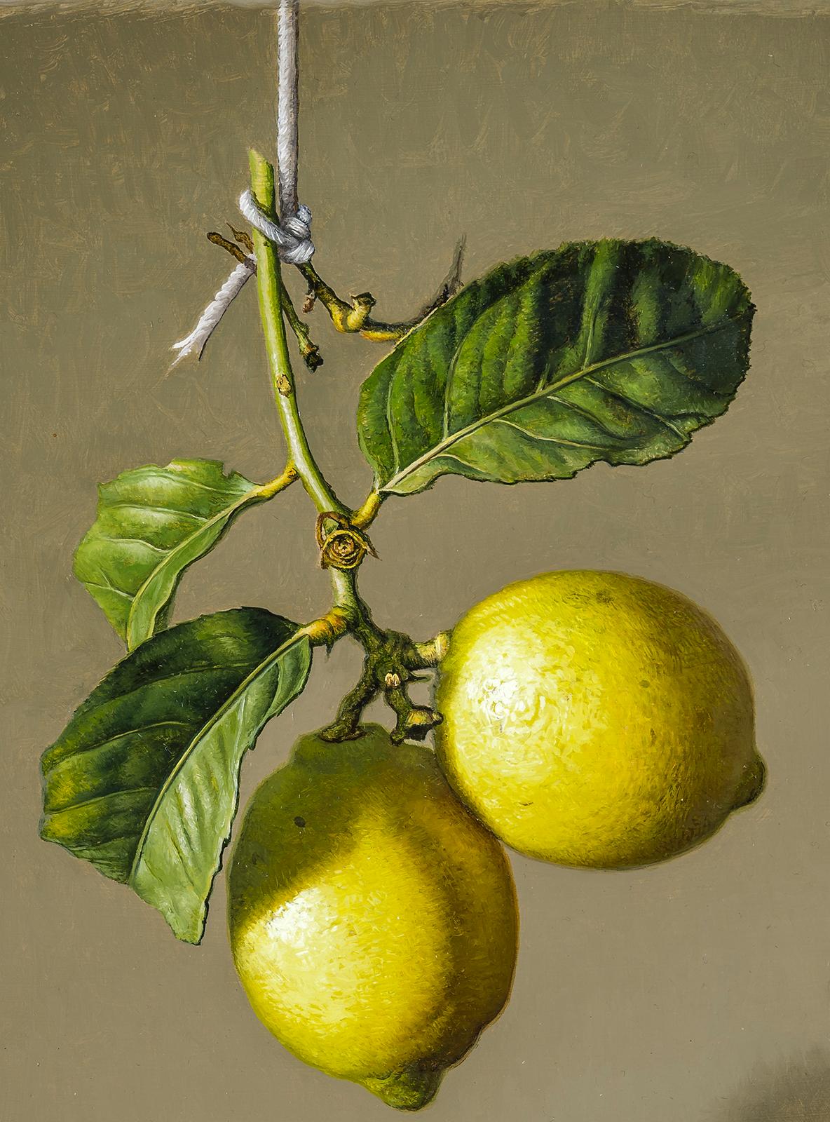 Two Lemons - Painting by Stone Roberts