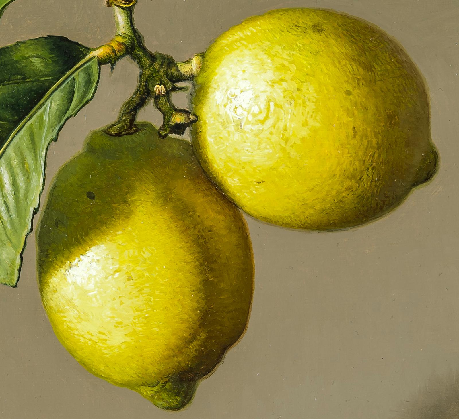 Two Lemons - American Realist Painting by Stone Roberts
