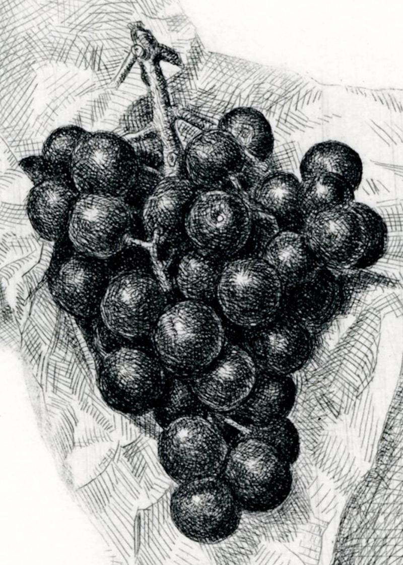 Cluster of Grapes in Folded Napkin - American Realist Print by Stone Roberts