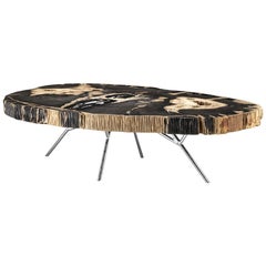 Stoned Petrified Wood Black Coffee Table on Stainless Steel Base