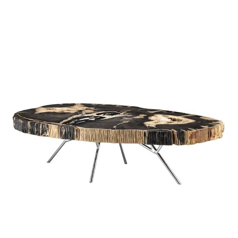 Stoned Petrified Wood Black Coffee Table on Stainless Steel Base For