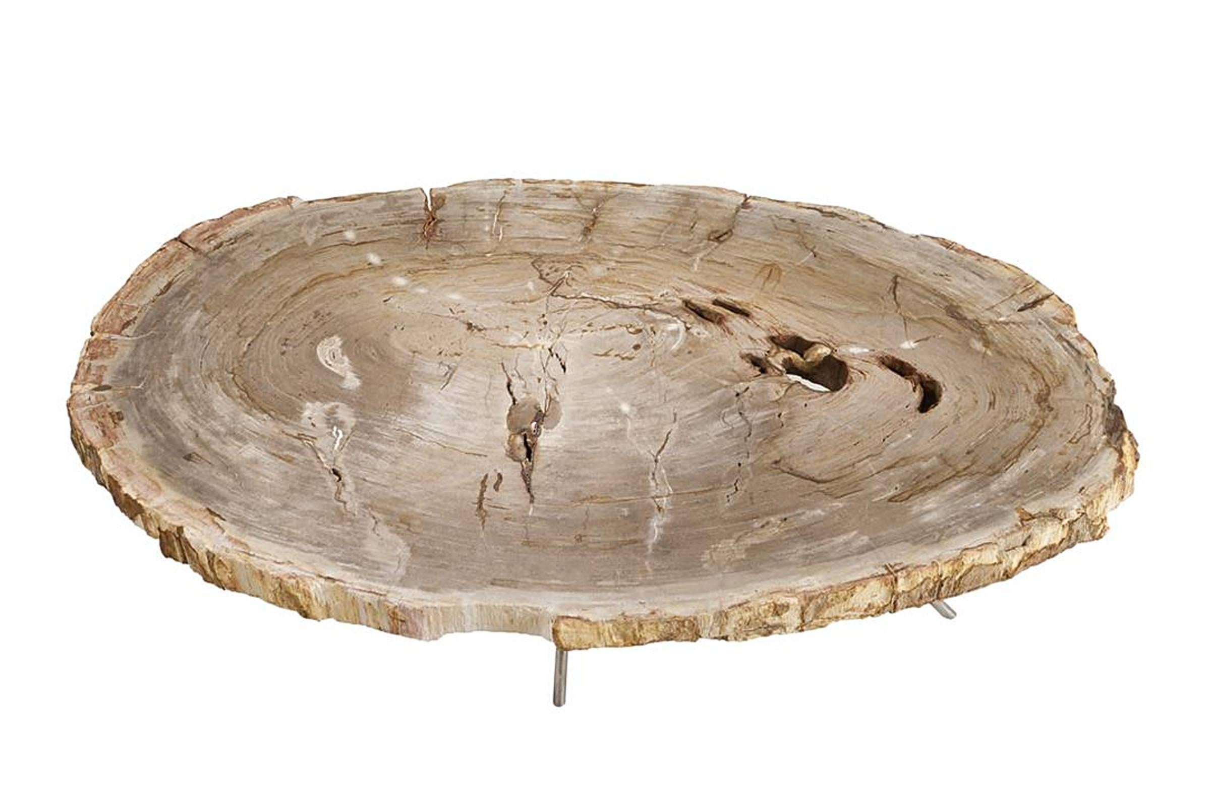 Coffee table stoned petrified wood with polished
stainless steel base. Petrified wood has turned into 
stone. Trees have been buried for many years under 
sediment they transitioned into stone. Each piece is 
unique. Exceptional piece.
 