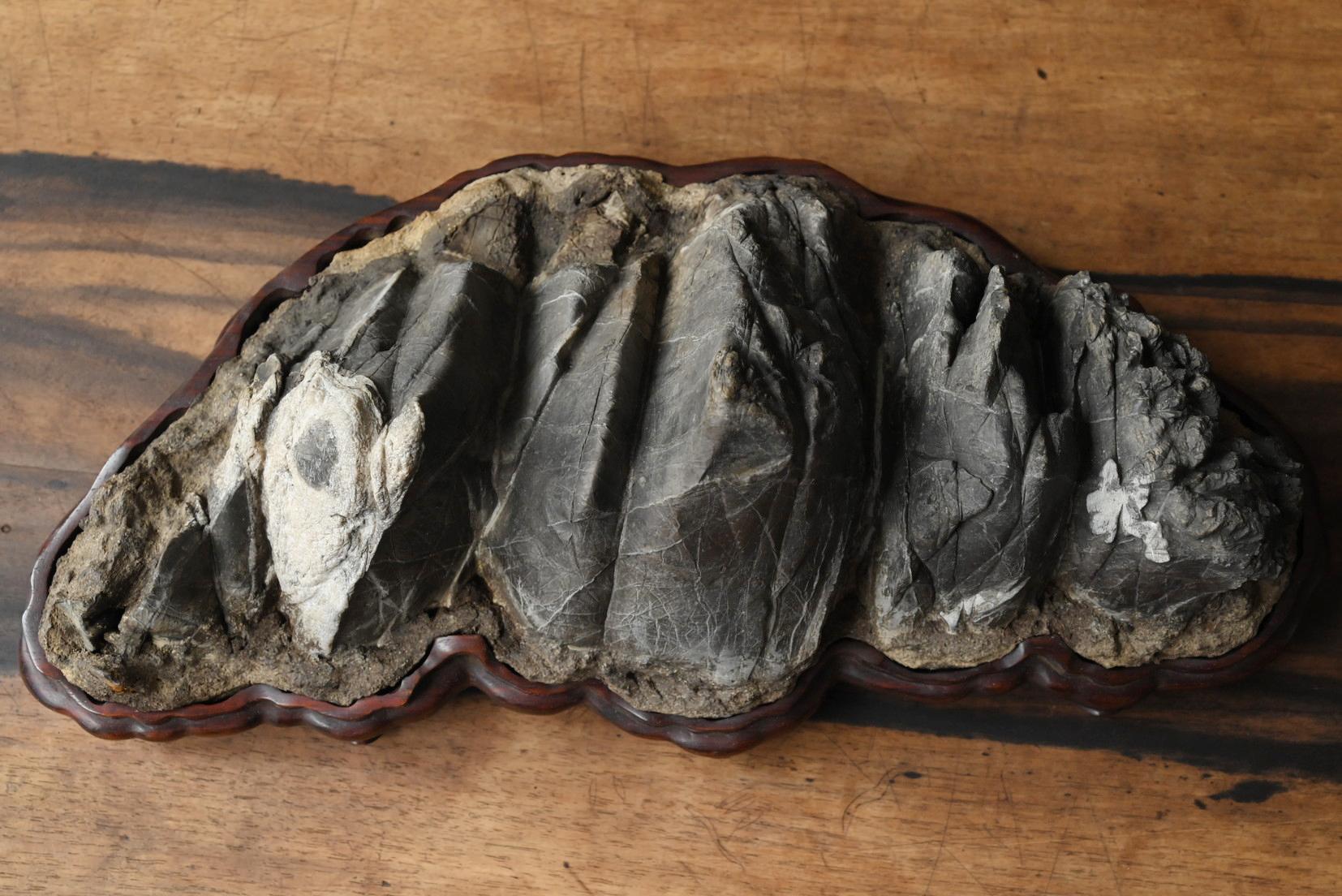 Pierres des érudits japonais 