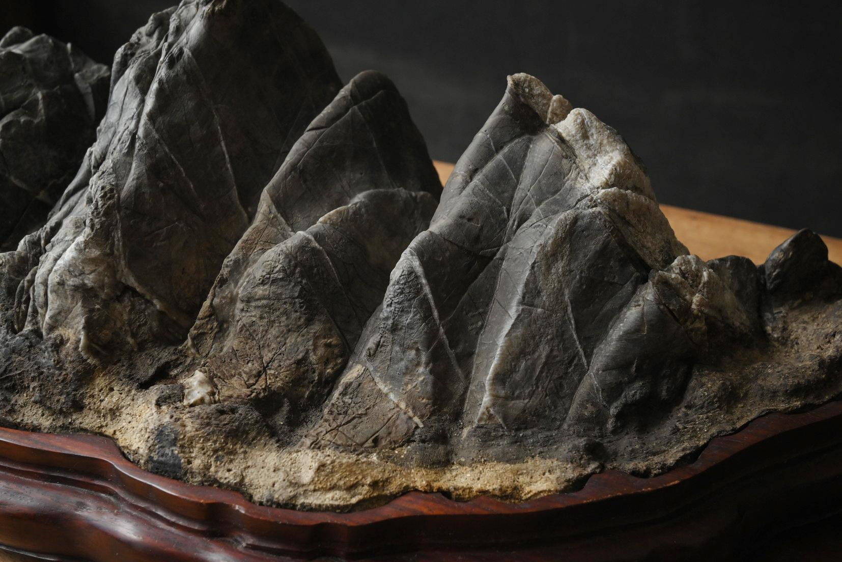 Pierres des érudits japonais 