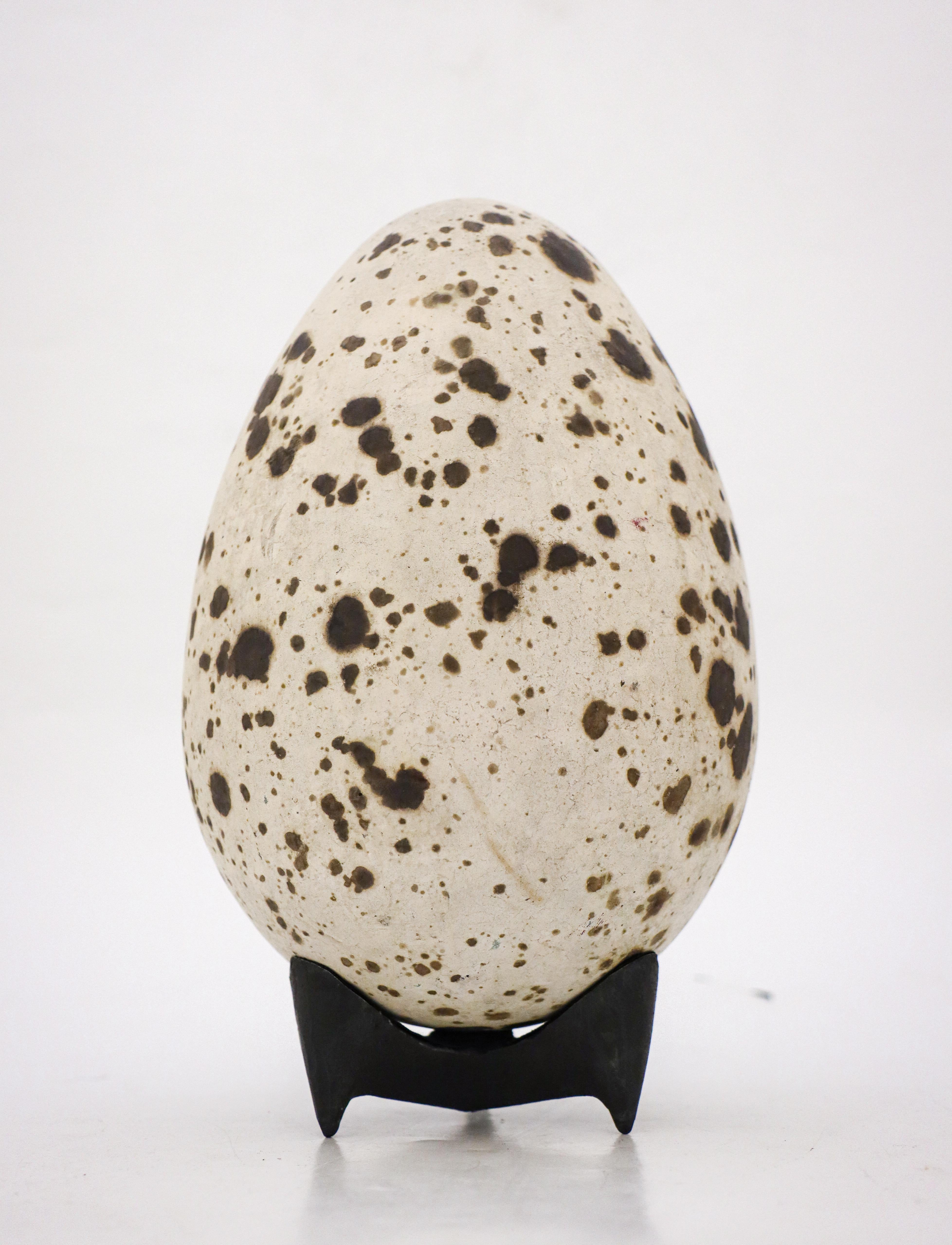 French Stoneware Egg Sculpture White & Brown Concrete by Hans Hedberg, Biot, France For Sale