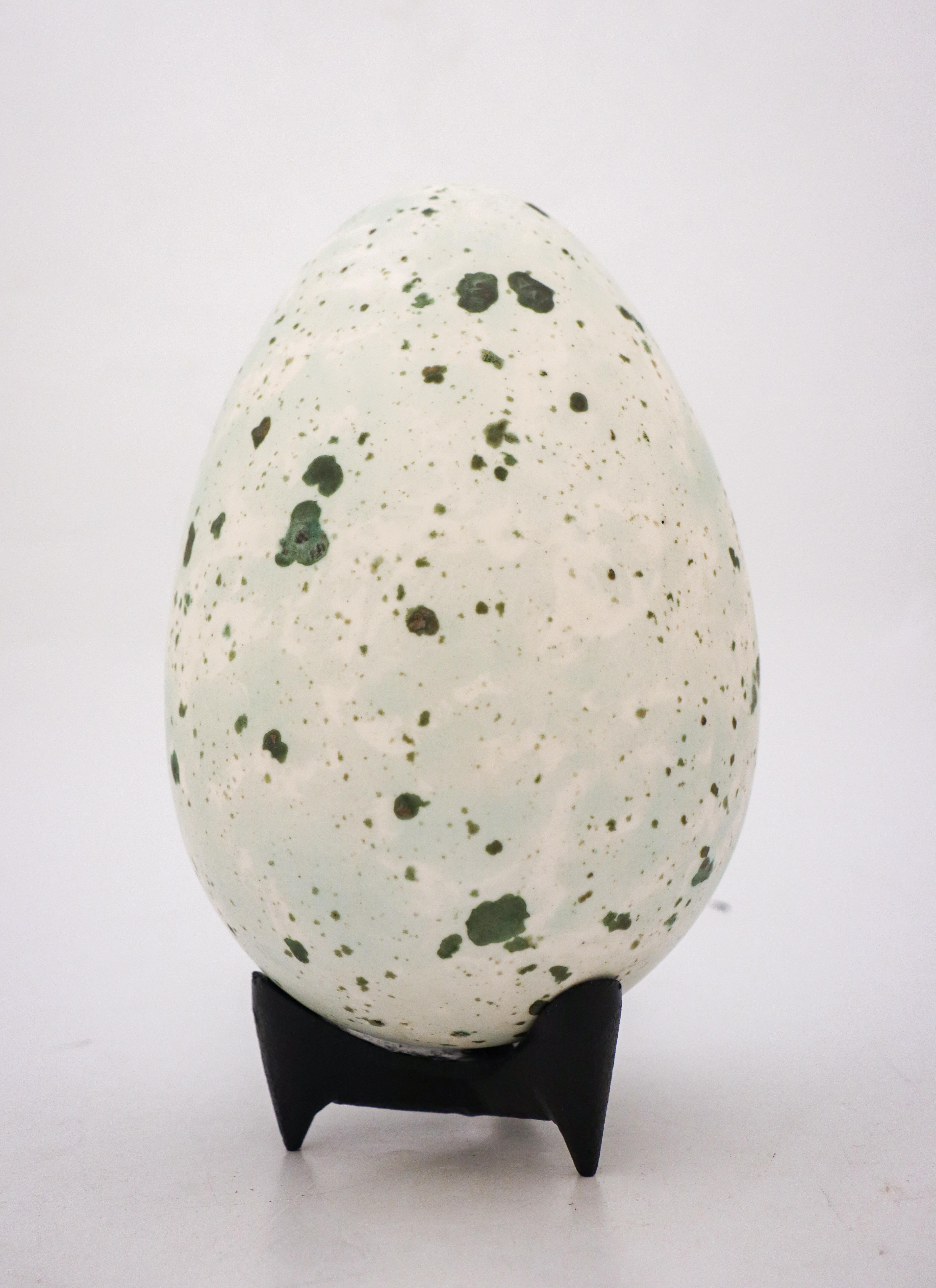 meadowlark egg