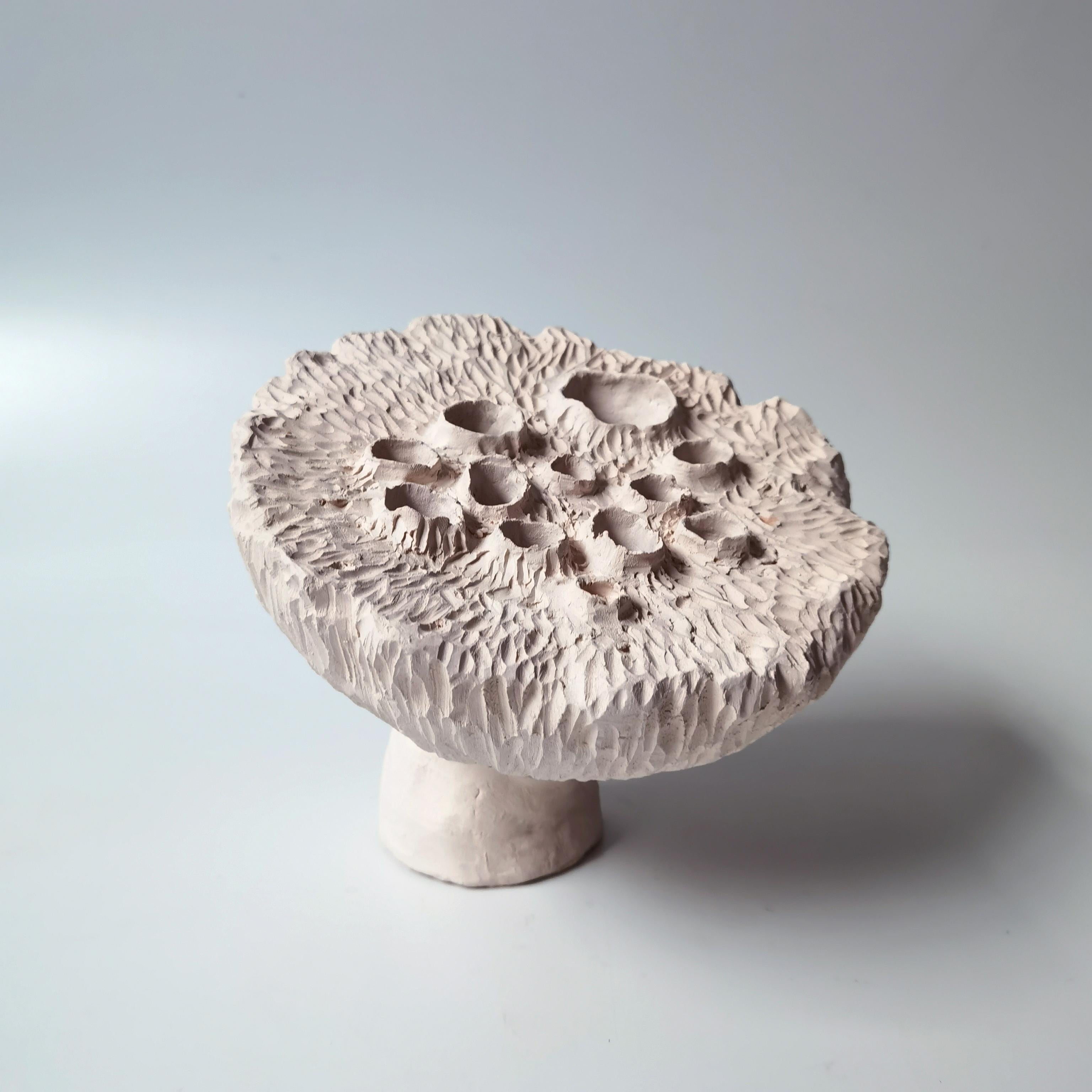 Stoneware lotus pod by Jan Ernst
Dimensions: H 20 cm
Materials: White stoneware

Jan Ernst’s work takes on an experimental approach, as he prefers making bespoke pieces by hand. His organic design stems from his
abstract understanding of form