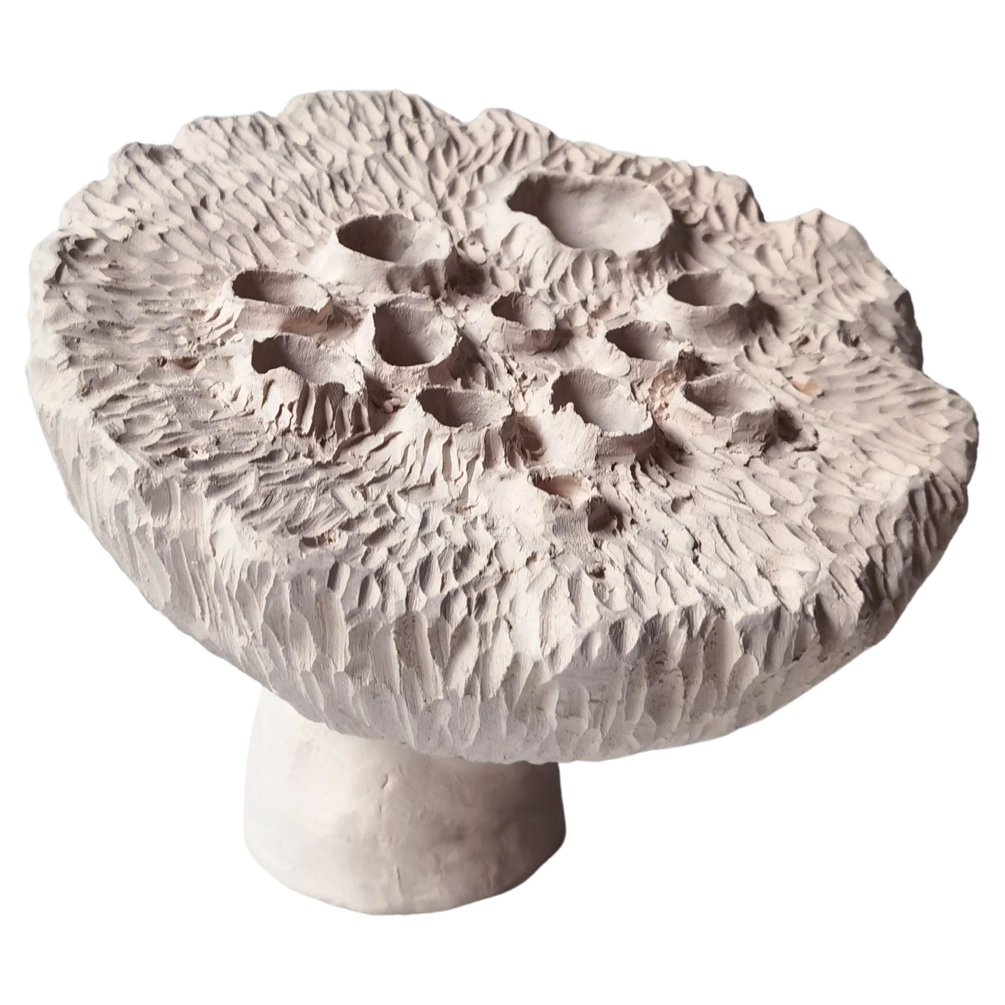 Stoneware Lotus Pod by Jan Ernst