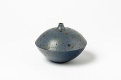 Stoneware Vase with Blue-Grey Glazes Decoration by Robert Deblander, 1970