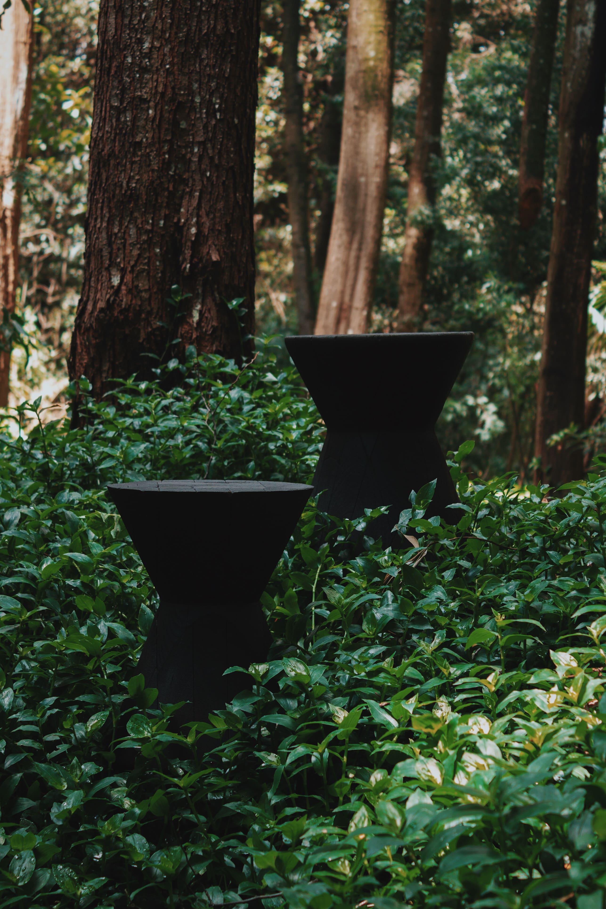 Bois Tabouret de Camilo Andre Rodriguez Marquez en vente