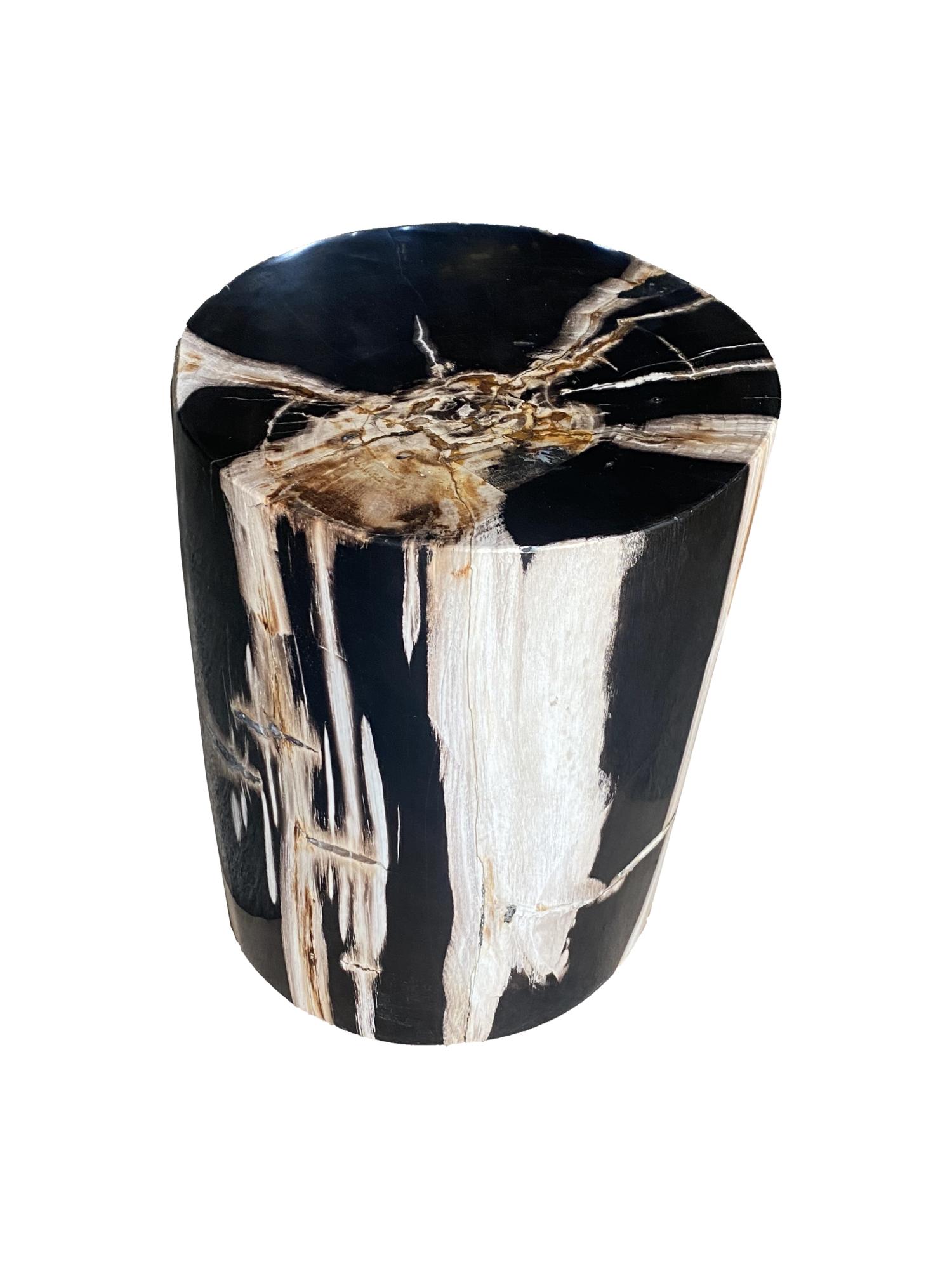 Stool round wood by DeepWood
One Of a Kind
Dimensions: L 30 W 30 H 40 cm
Materials: Petrified wood fully polished
Wight: 55 kg

Each DeepWood piece is expertly crafted from a rarefied specimen of petrified wood and contains 25 million+ years