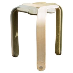 Stop-Hocker Sage Kooij