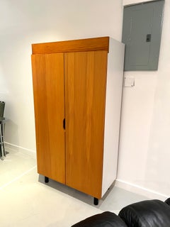 Storage Cabinet Designed by Charlotte Perriand for Les Arcs Ski Lodge