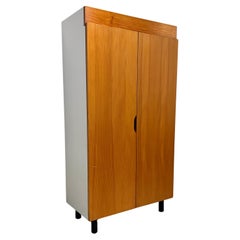 Storage Cabinet Designed by Charlotte Perriand for Les Arcs Ski Lodge