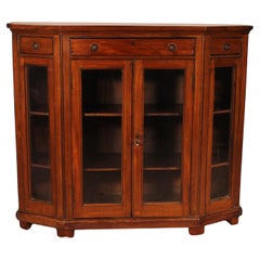Antique Store Showcase Cabinet Or Bookcase In Mahogany Early 19th Century