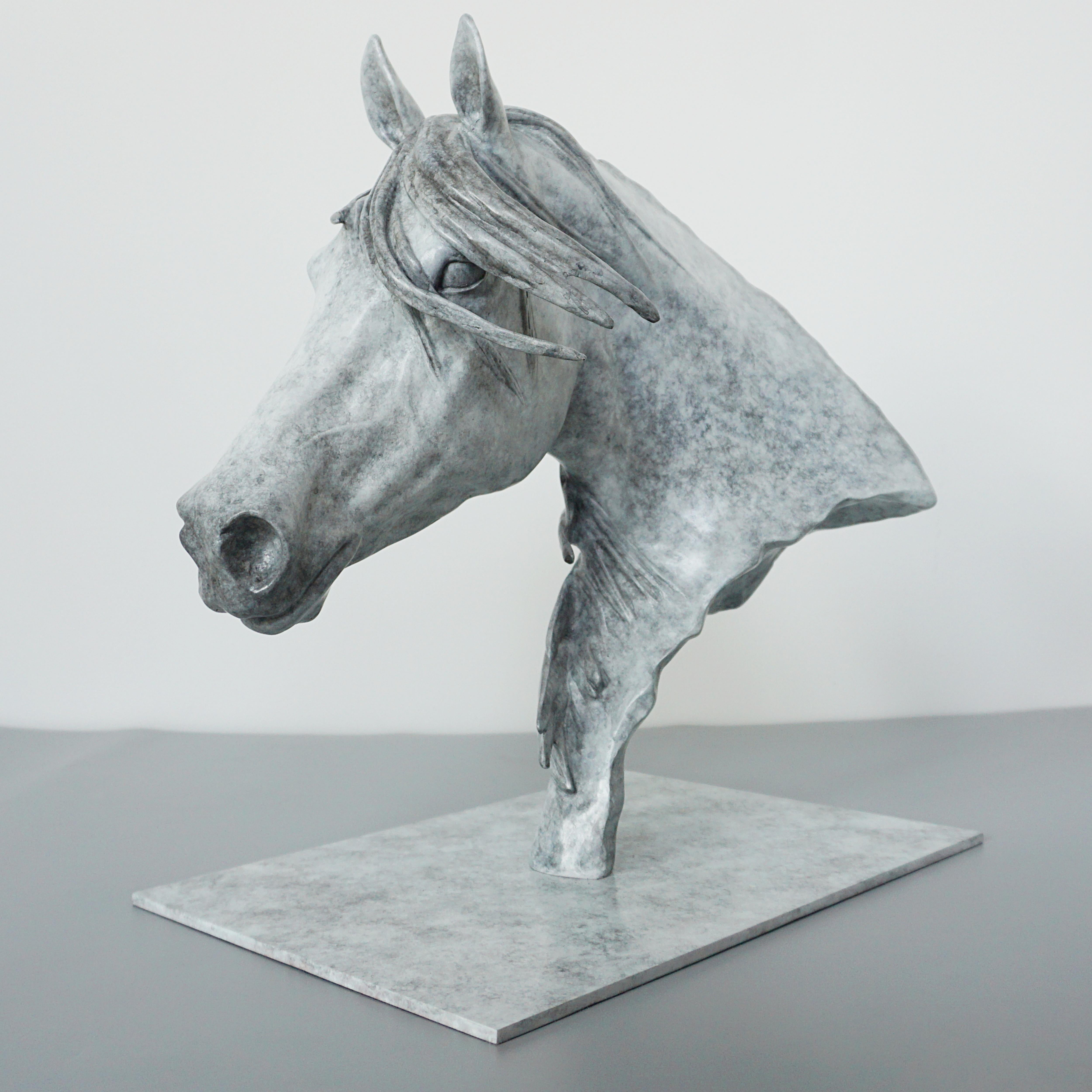 'Storm' Beautiful Dappled Gray Limited Edition Bronze Sculpture by Gill Parker 5