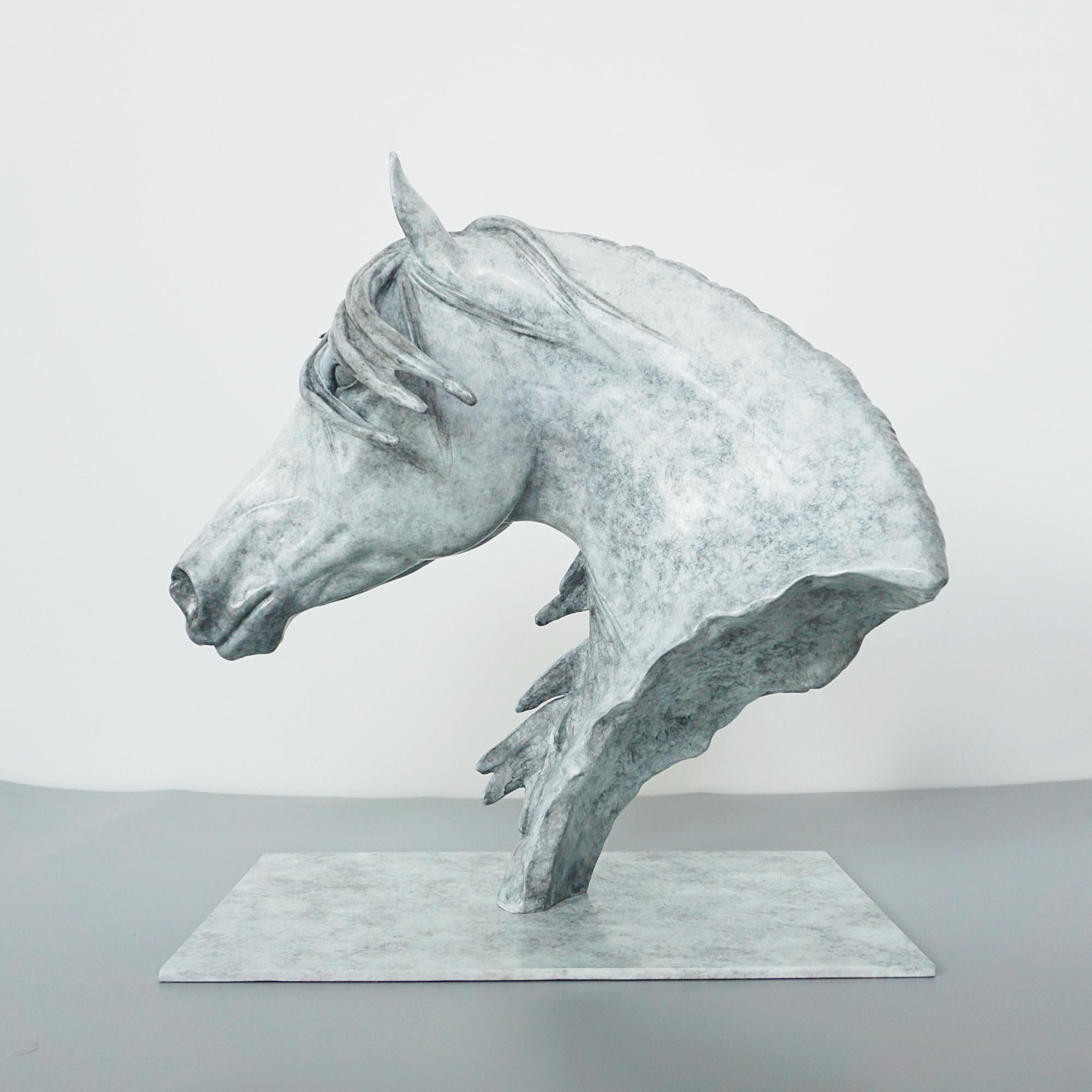 'Storm' a stunning, limited edition bronze sculpture by celebrated sculptor Gill Parker. Dappled gray patination. Limited edition 5/12. Signed and numbered to inside of horse head. 

Dimensions: H 39cm W 38cm D 24cm (base)

Origin: English

Date: