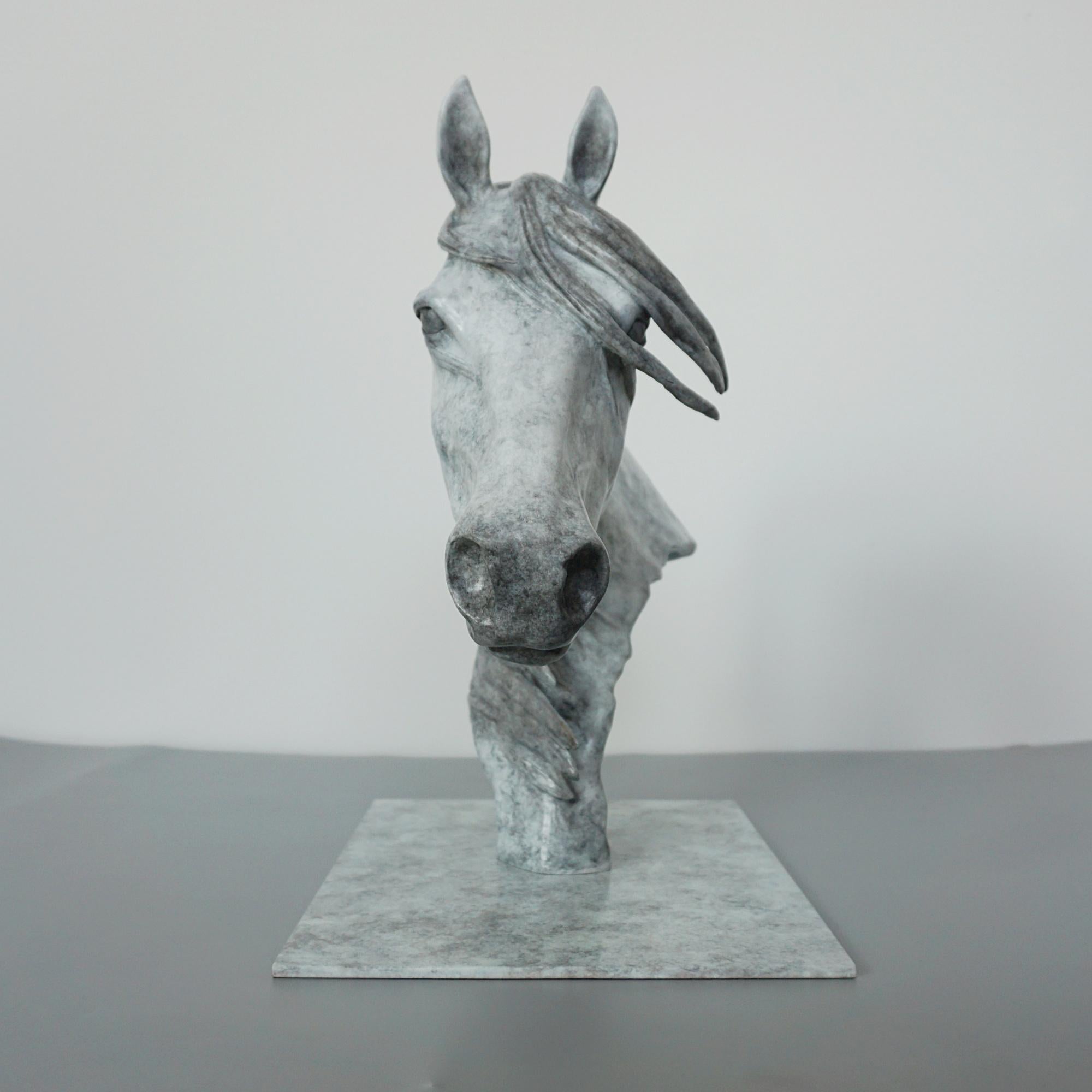 'Storm' Beautiful Dappled Gray Limited Edition Bronze Sculpture by Gill Parker In Excellent Condition In Forest Row, East Sussex