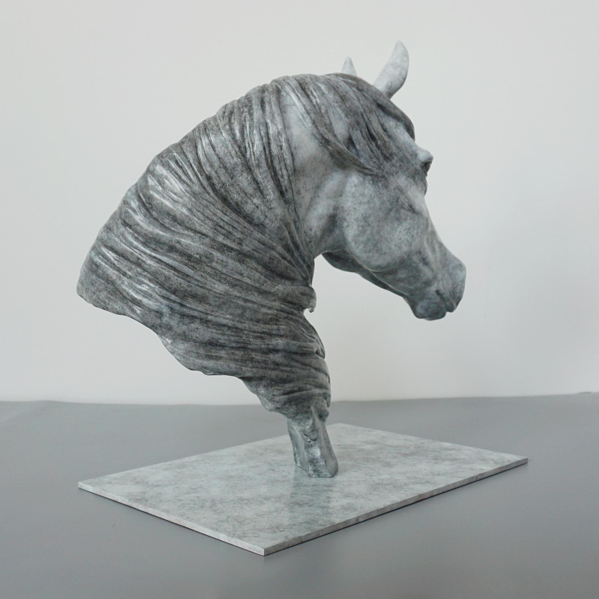 'Storm' Beautiful Dappled Gray Limited Edition Bronze Sculpture by Gill Parker 1