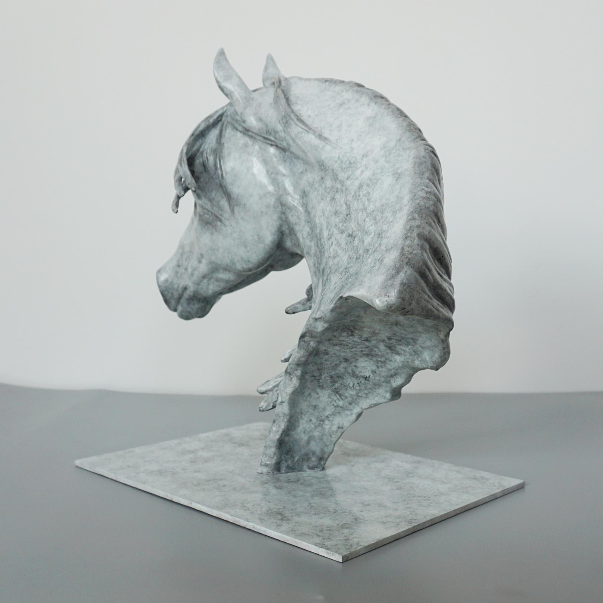 'Storm' Beautiful Dappled Gray Limited Edition Bronze Sculpture by Gill Parker 2