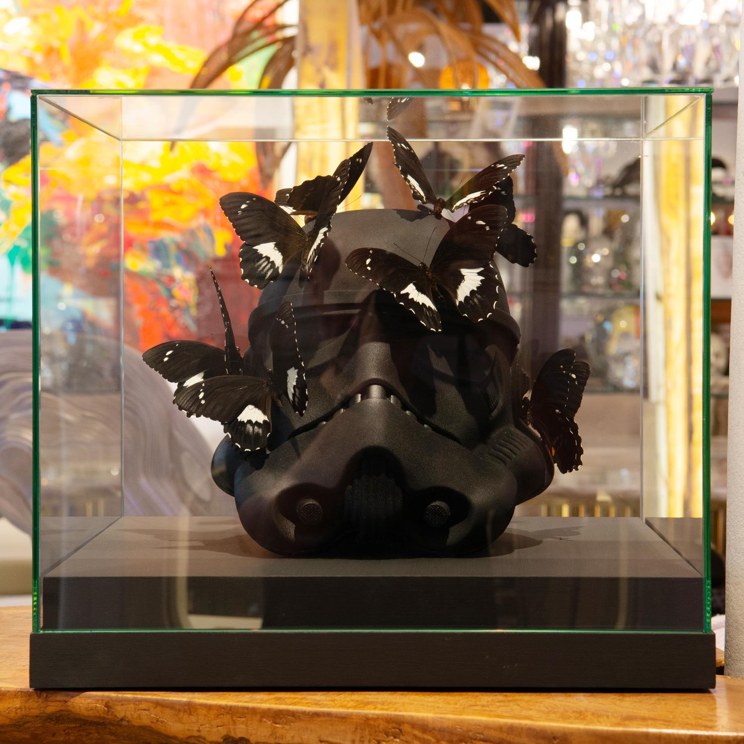 Escultura Stormtrooper Casco Negro Mariposas con original
casco Stormtrooper negro de resina negra mate ornamentado
con mariposas papillo negro gambrisius (no se requieren citas para
esta mariposa). Funda de cristal antireflejos securit con
Base de