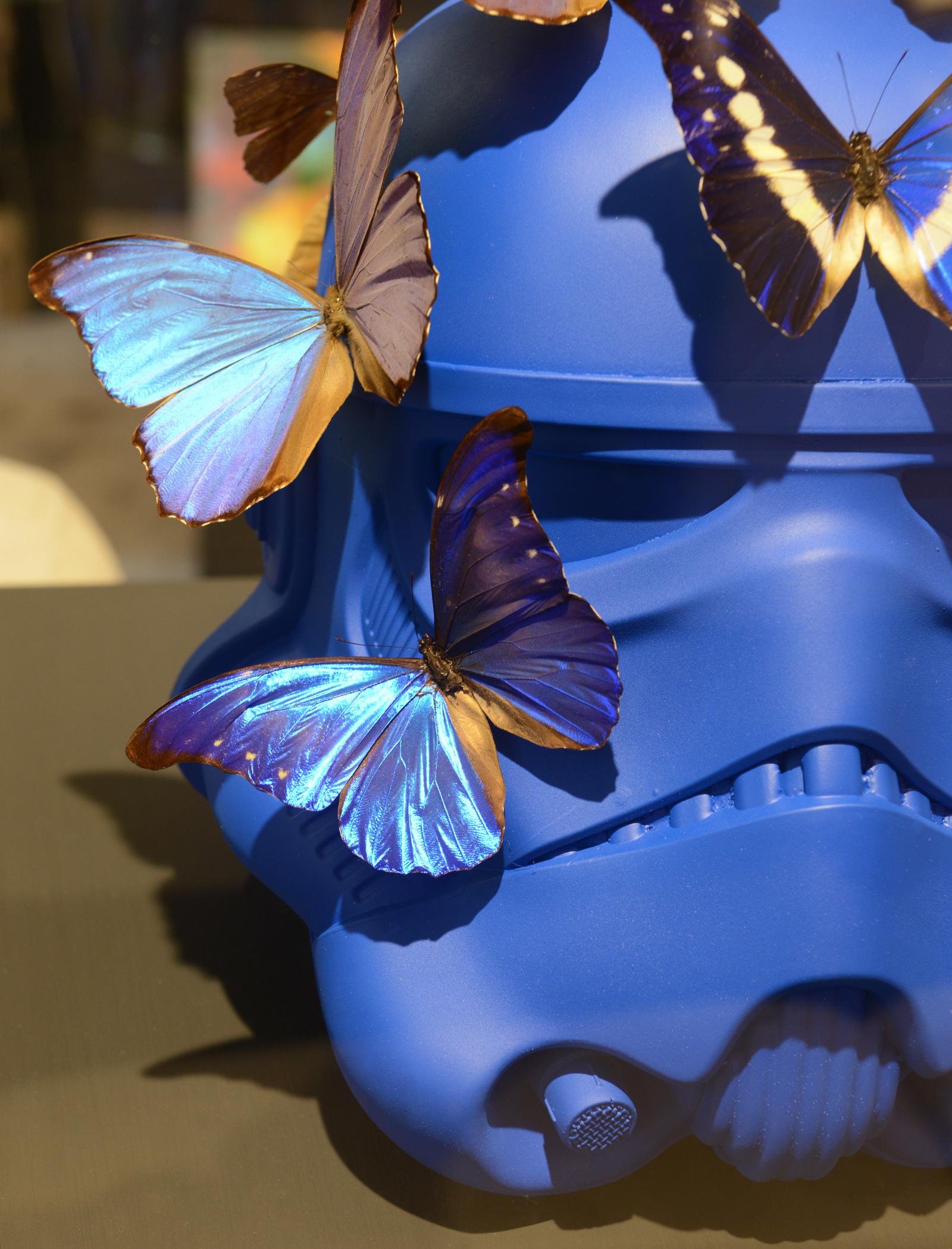 Verre Sculpture de papillons du Stormtrooper Blue Helmet en vente