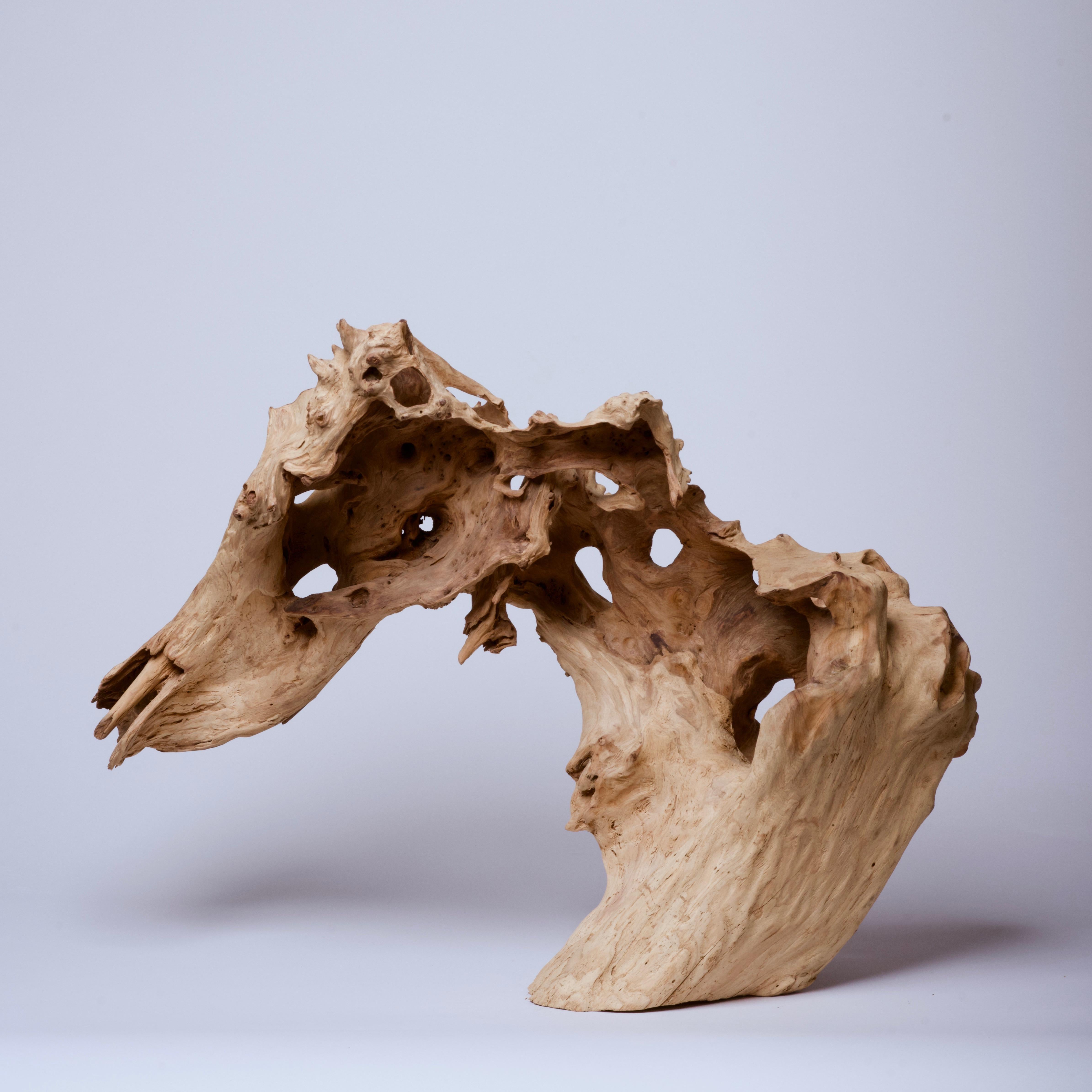 Natural wood sculpture reminiscent of a wild boar 12” x 30” x 22 1/2”.
An organic sculpture for the modern scholar's desk.