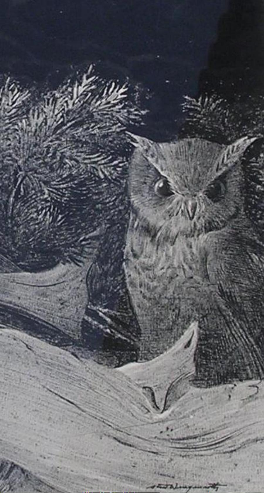 Stow Wengenroth (1906-1978) original dry brush drawing, 1966
This work is a preparatory drawing for his lithograph “The Little Owl”
Signed lower right, “Stow Wengenroth”
Image measures: 14
