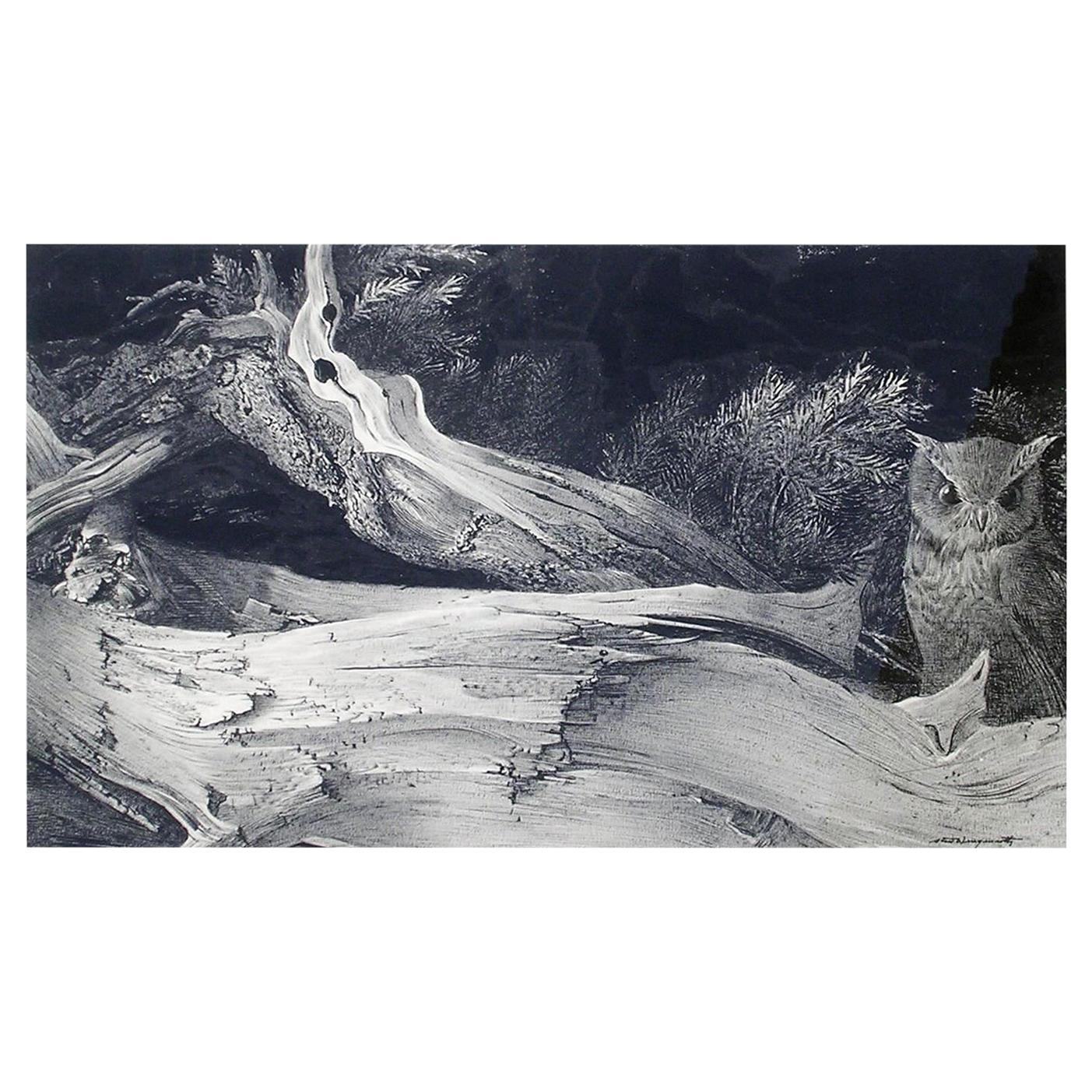 Stow Wengenroth Original Dry Brush Drawing, 1966, "The Little Owl" For Sale