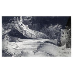 Stow Wengenroth Original Dry Brush Drawing, 1966, "The Little Owl"