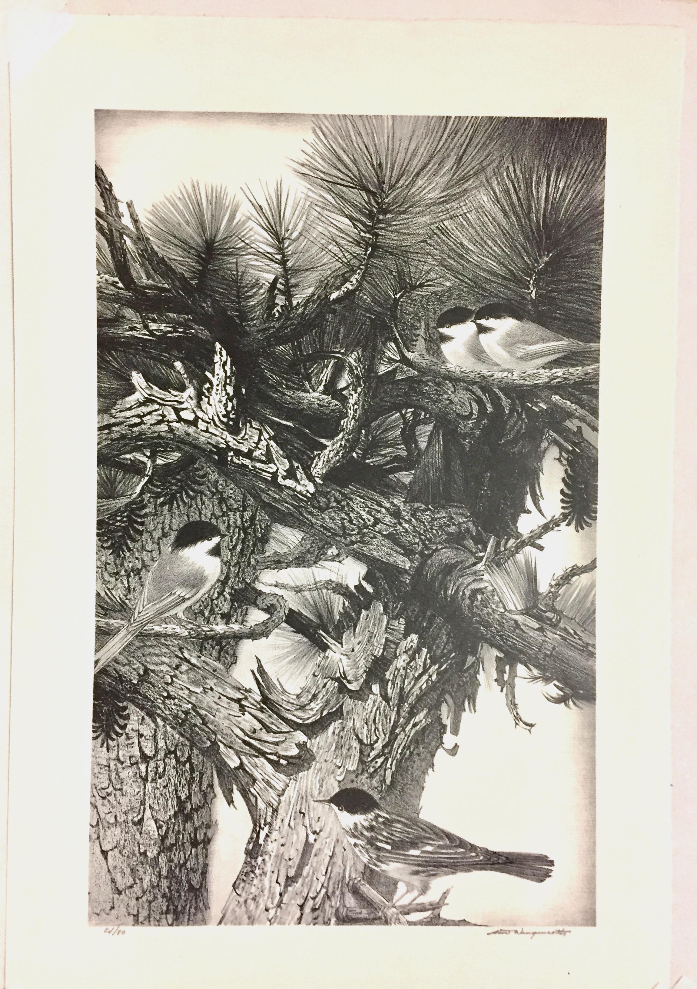Edition of 80. Signed and numbered in pencil. Really, no one could draw on a lithographic stone like Stow Wengenroth. He drew many animals and birds in particular.