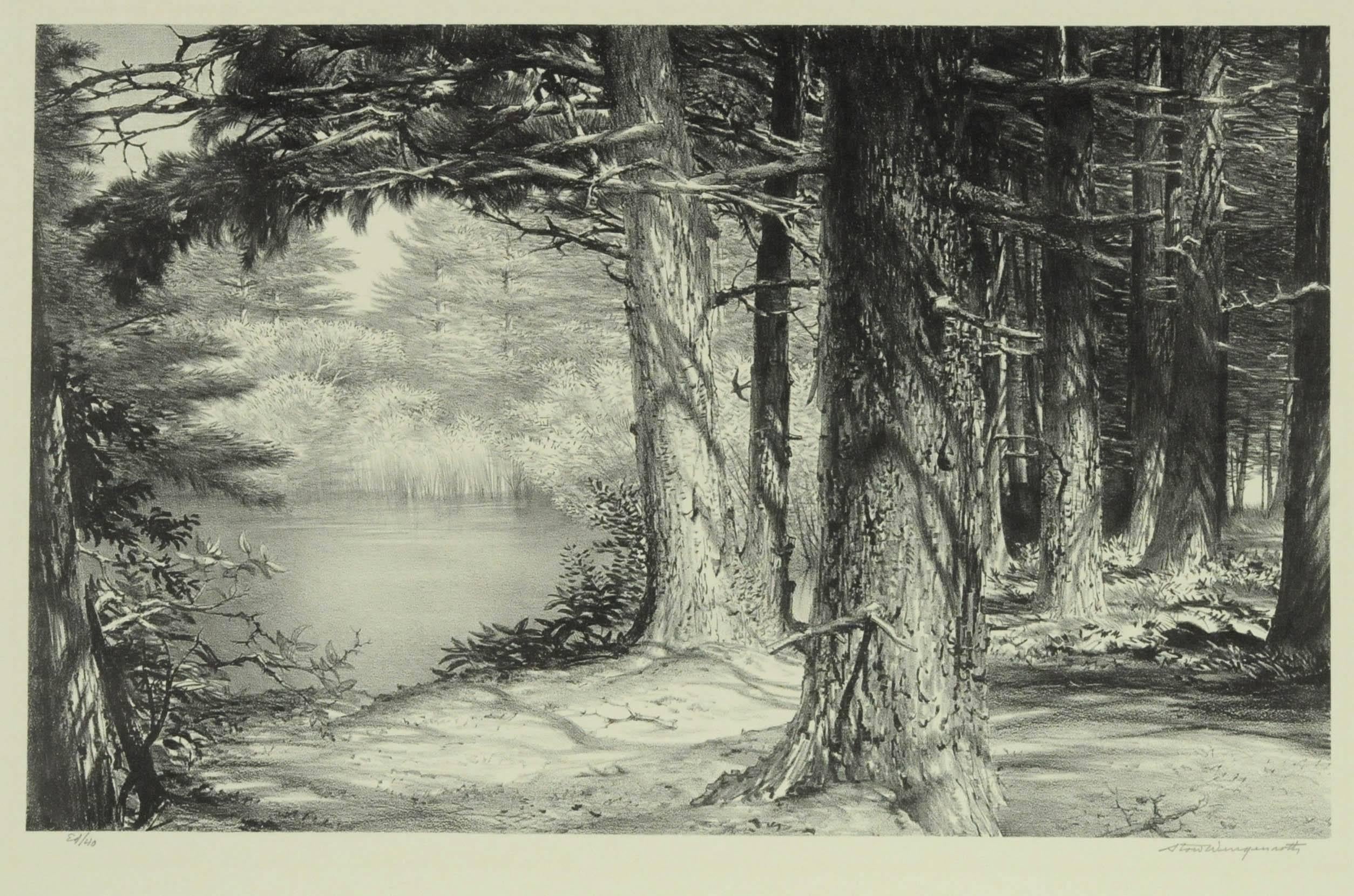 Estanque escondido - Print de Stow Wengenroth