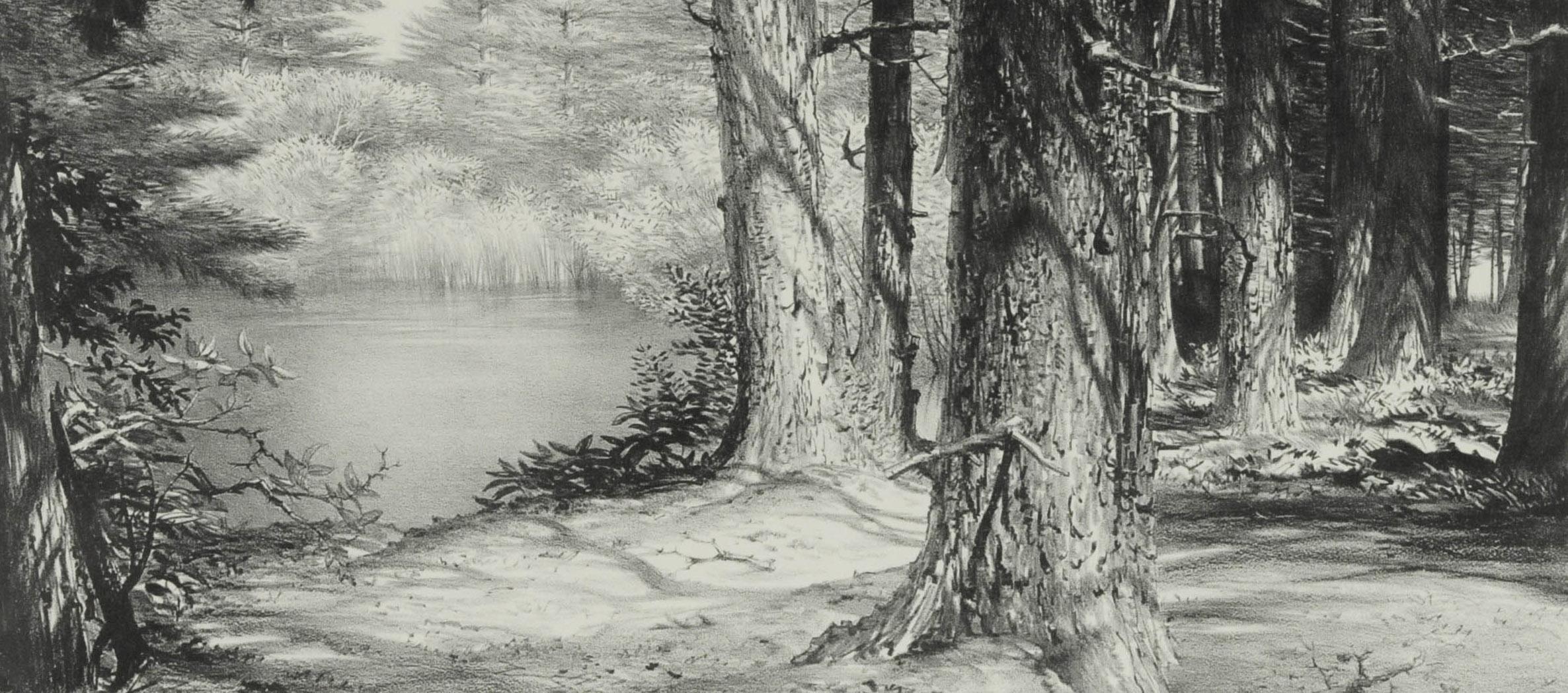 Hidden Pond
Lithograph, 1958
Signed in pencil lower right of image
Annotated: Ed/40 in pencil by the artist lower left
Edition: 40
Provenance:
Baldwin-Wallace College, Berea, OH (accession number 62.18)
References:
R. and J. Stuckey, The Lithographs