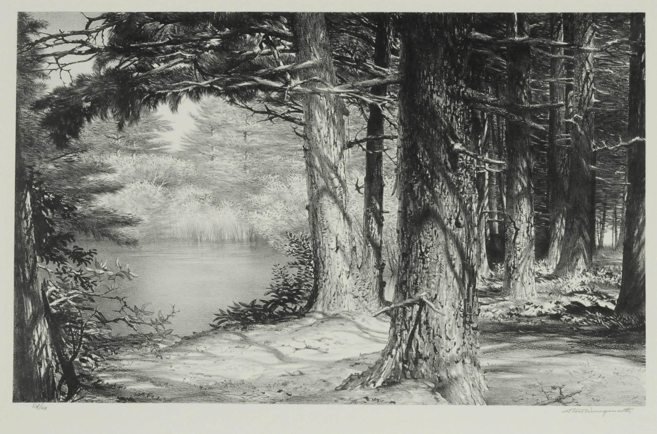 Stow Wengenroth Landscape Print – Versteckter Teich