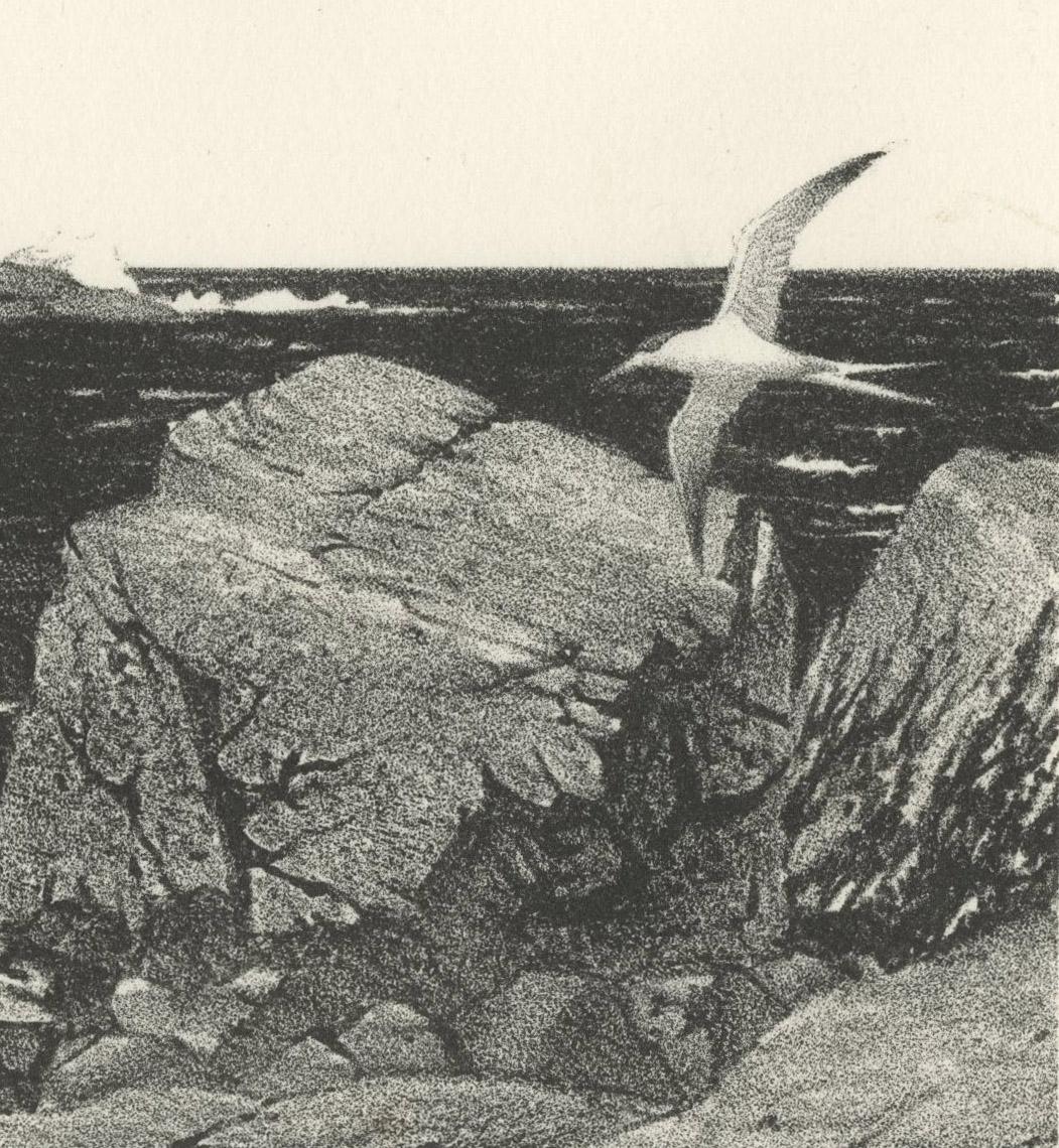 Costa de Nueva Inglaterra (Greenport, Nueva York) - Print realista estadounidense de Stow Wengenroth