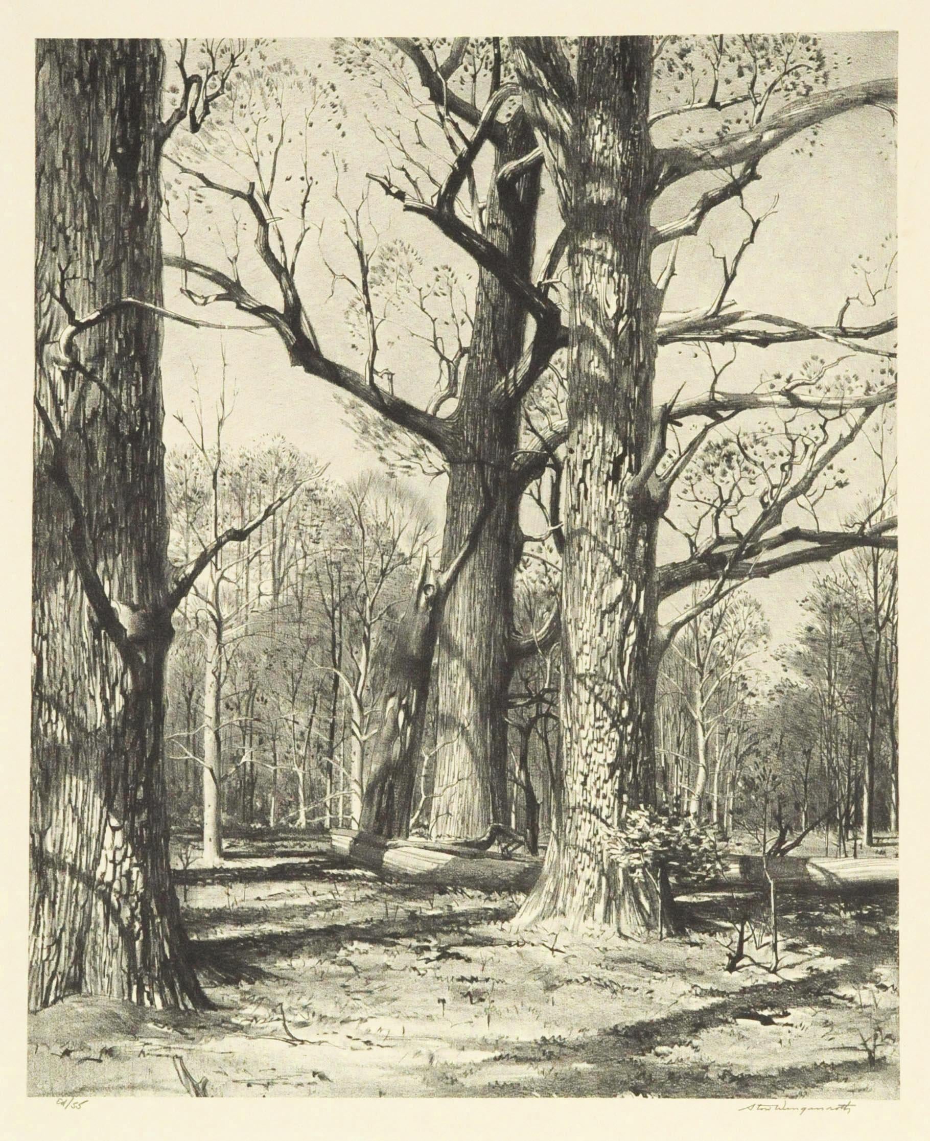 Stow Wengenroth Landscape Print - Woodland (New Hope, Pennsylvania)