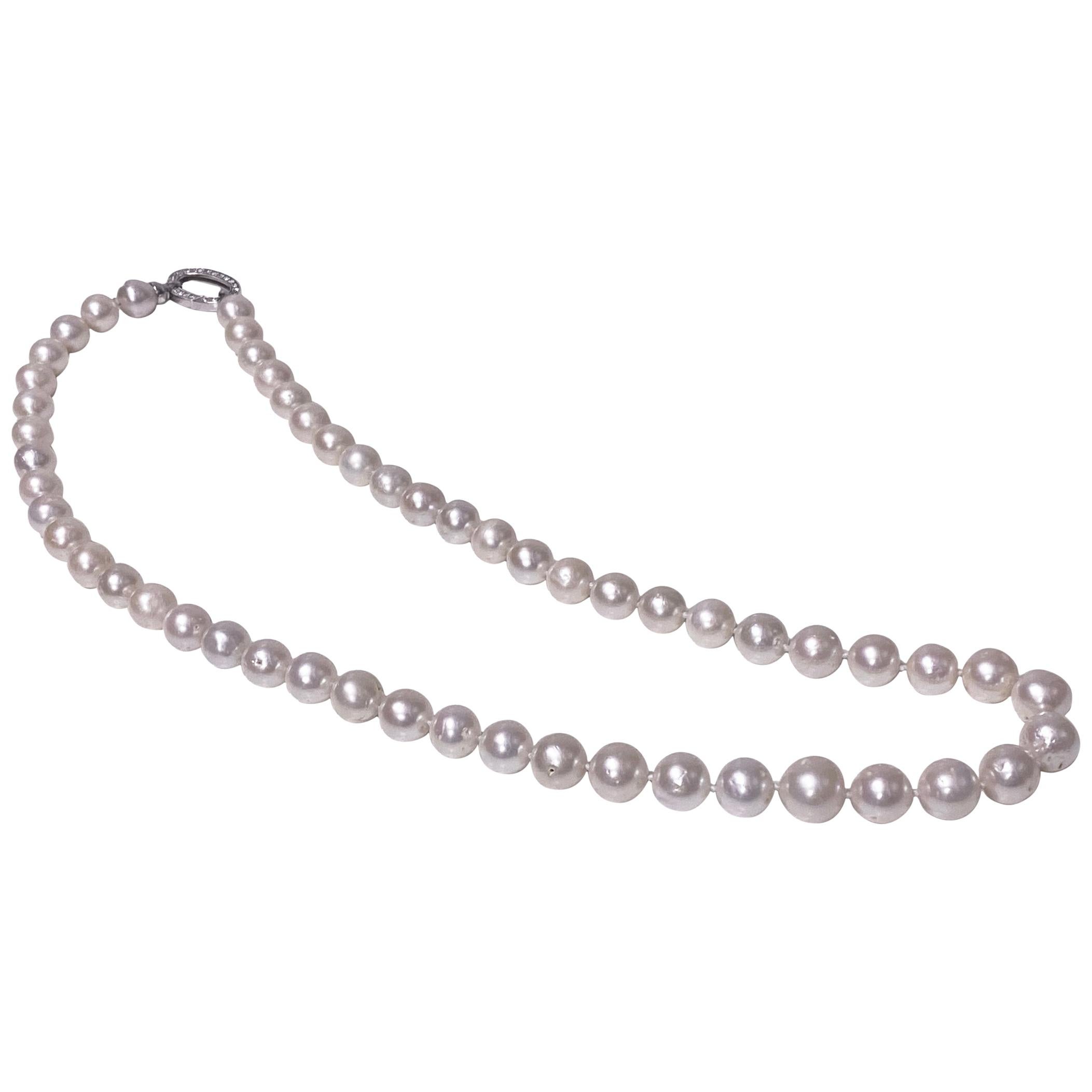 Strand of Cultured Fresh Water Pearl Necklace