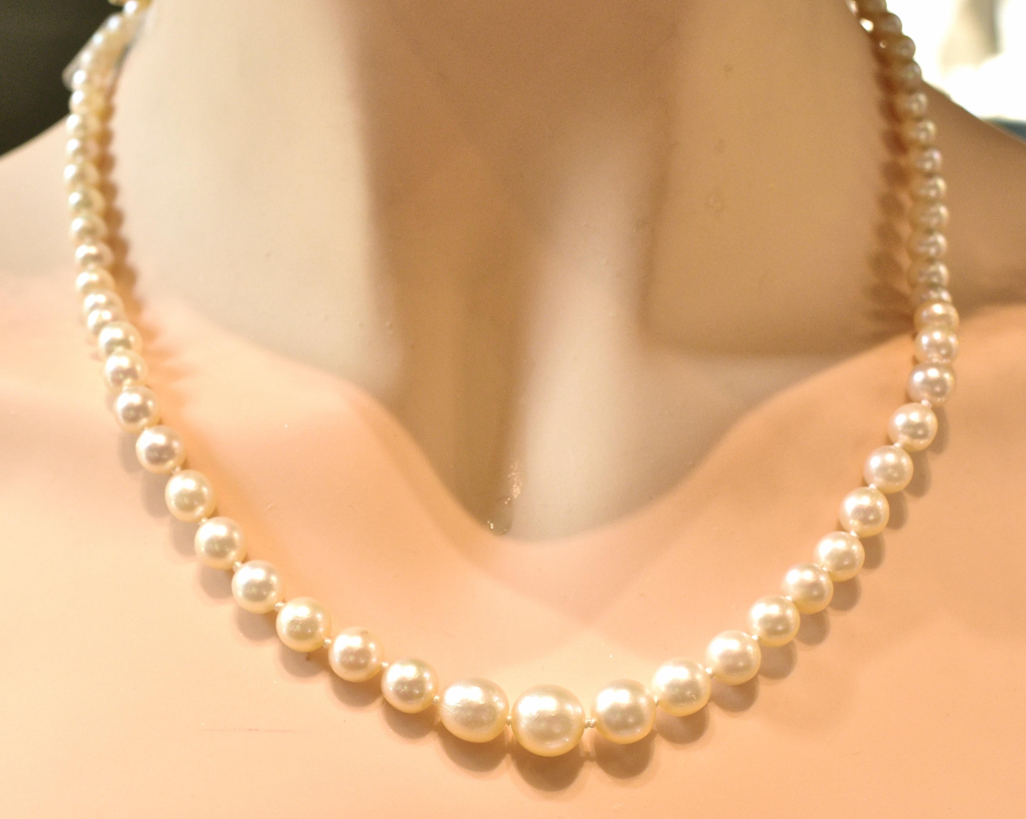 Bead Strand of Fine Cultured Japanese Pearls with a Gold Clasp For Sale
