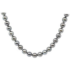 Strand of Freshwater Pearls with 14 Karat White Gold Clasp