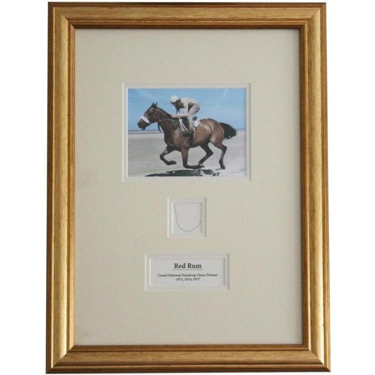 Strand of Racehorse Red Rum's Hair with Certificate of Authenticity In Good Condition For Sale In Jersey, GB