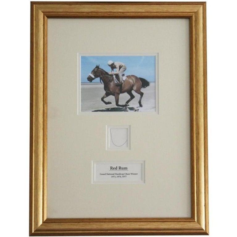 20th Century Strand of Racehorse Red Rum's Hair with Certificate of Authenticity For Sale