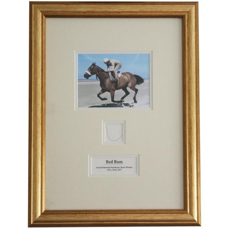 Strand of Racehorse Red Rum's Hair with Certificate of Authenticity For Sale