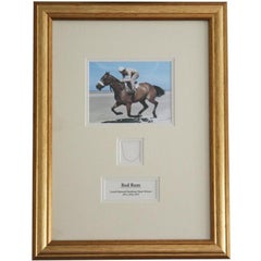 Vintage Strand of Racehorse Red Rum's Hair with Certificate of Authenticity
